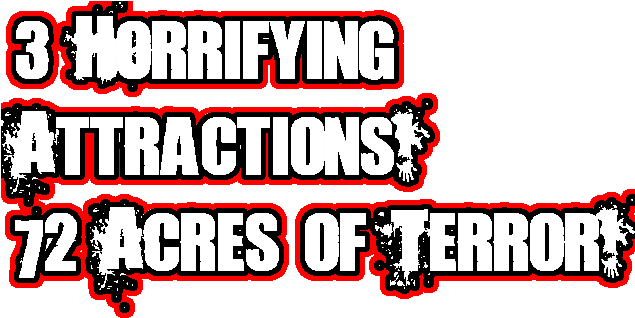 Or Strap Yourself In, And Experience The End Of The - Calligraphy (640x400)