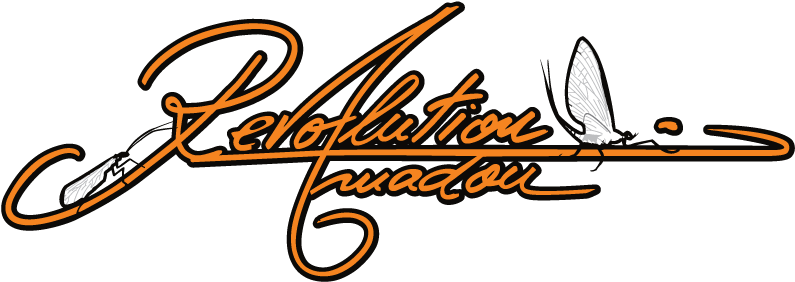 Revolution Amadou - Revolution Amadou (800x300)