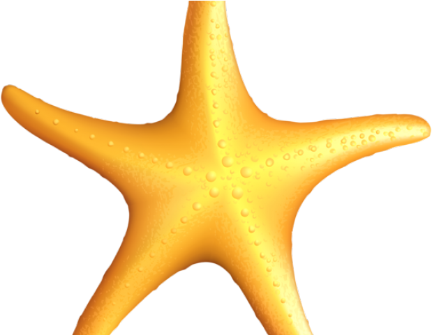 Tropical Fish Clipart Starfish - Clip Art (640x480)