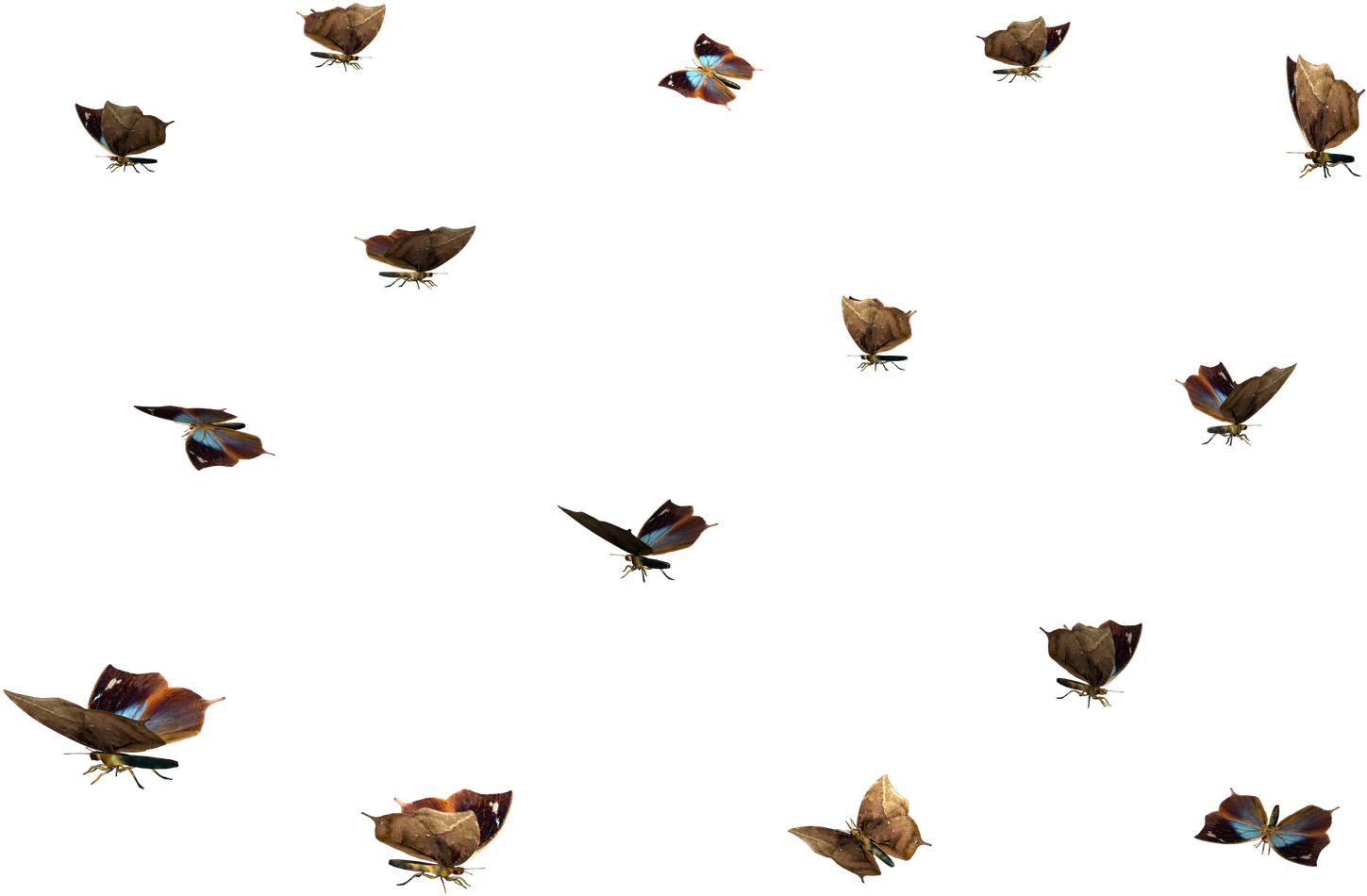 Misc Png Clip Art - Transparent Blue Overlay Png (1600x1131)