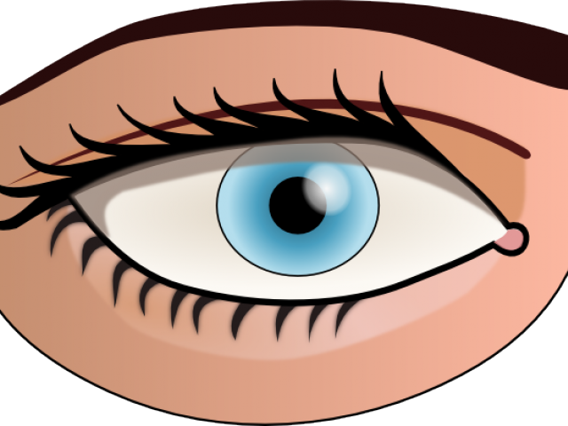 Eye Art Clip - Parts Of Body Eye (640x480)