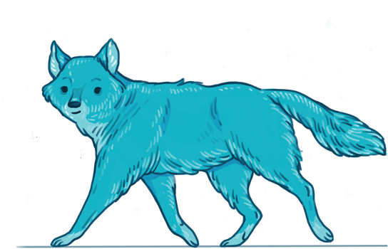 It's Been A Great Run - Cat Jumps (570x394)