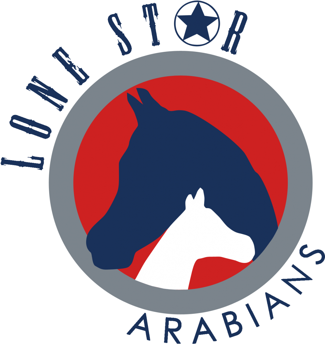 Dallas Cowboys Helmet - News Winter Party Diamond (1146x1200)