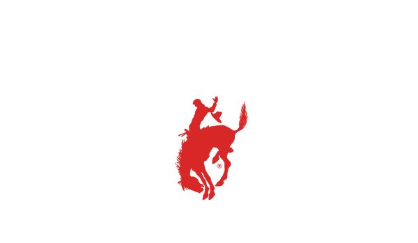 Meet The 2015 Wrangler Nfr Saddle Bronc Riders - Saddle Bronc Logo (600x349)