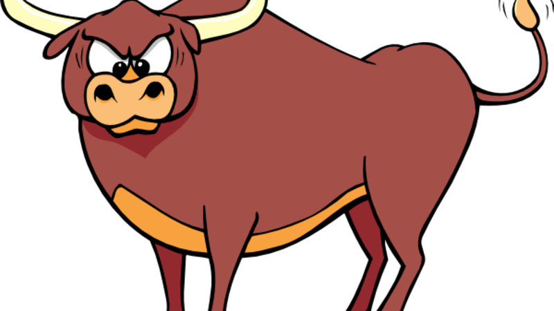 Bull & Oyster Roast Fundraiser - Bull Clip Art (800x450)