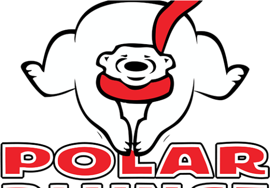 Special Olympics Plunge Slated For March 16th - Polar Plunge Polar Bear (580x386)