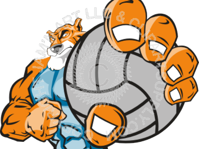 Volleyball Clipart Orange - Kangaroo Holding Basketball (640x480)