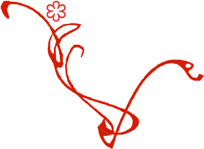 Délice De Gâteau Chaud En Chocolat Surprise - Délice De Gâteau Chaud En Chocolat Surprise (423x308)