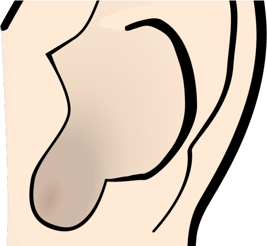 Nose Clipart Sense - Nose Clipart Sense (640x480)