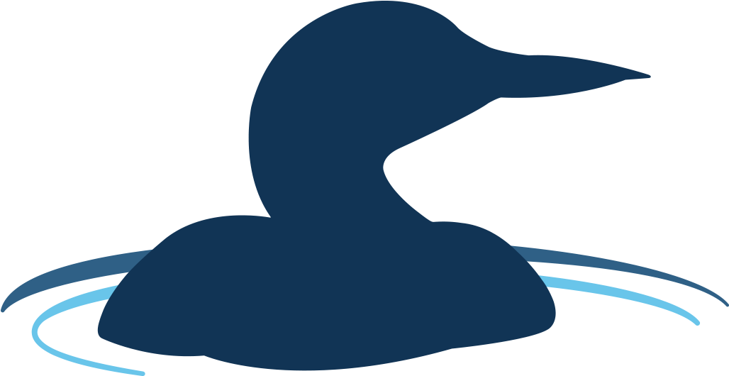 Lake Joseph North Association - Duck (1200x586)