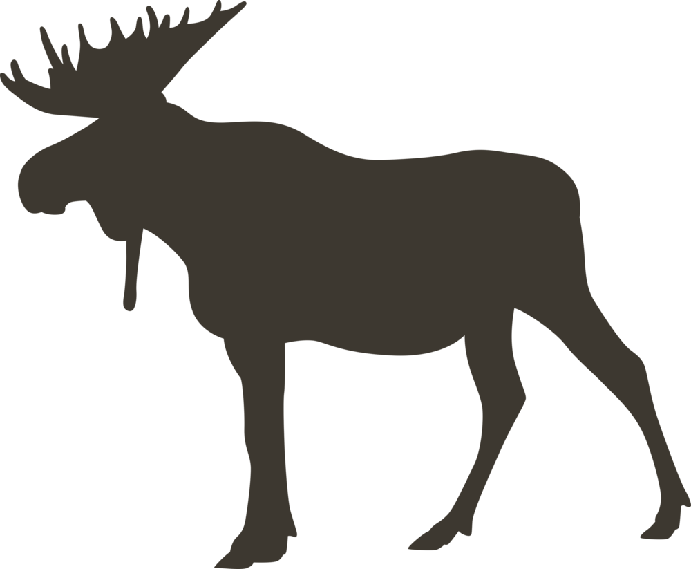 Moose - Moose - Loon - Moose - Moose - Loon (1000x823)