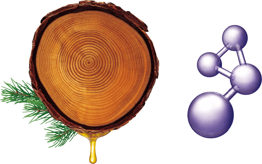 Pycnogenol Plus Amino L-arginine - Illustration (857x536)