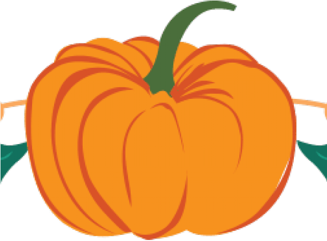 Leaf Clipart Divider - Pumpkin Divider Line (640x480)