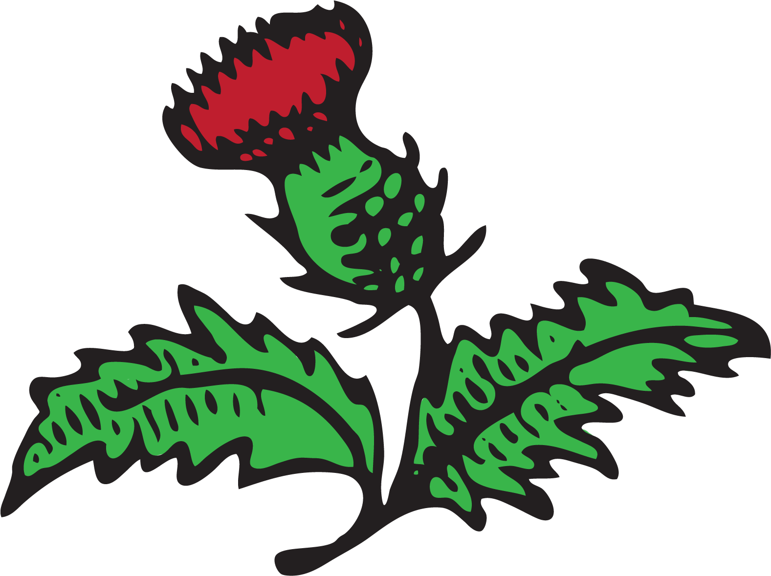 Red Thistle Handyworks - Illustration (1590x1204)