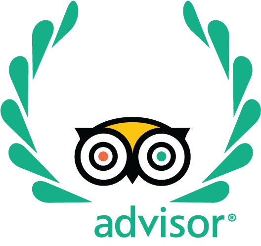 Best Hotels In Japan Tripadvisor Travelers' Choice - Tripadvisor Travelers Choice Award 2019 (537x524)