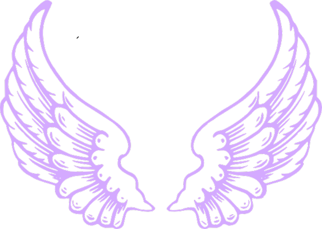Purple Sticker - Pink Angel Wings (1024x730)