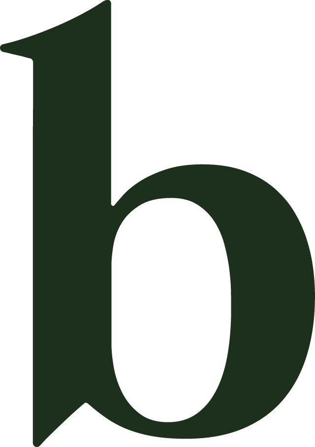 Bag Of Bones Break Ⓒ - Bag Of Bones Break Ⓒ (640x908)