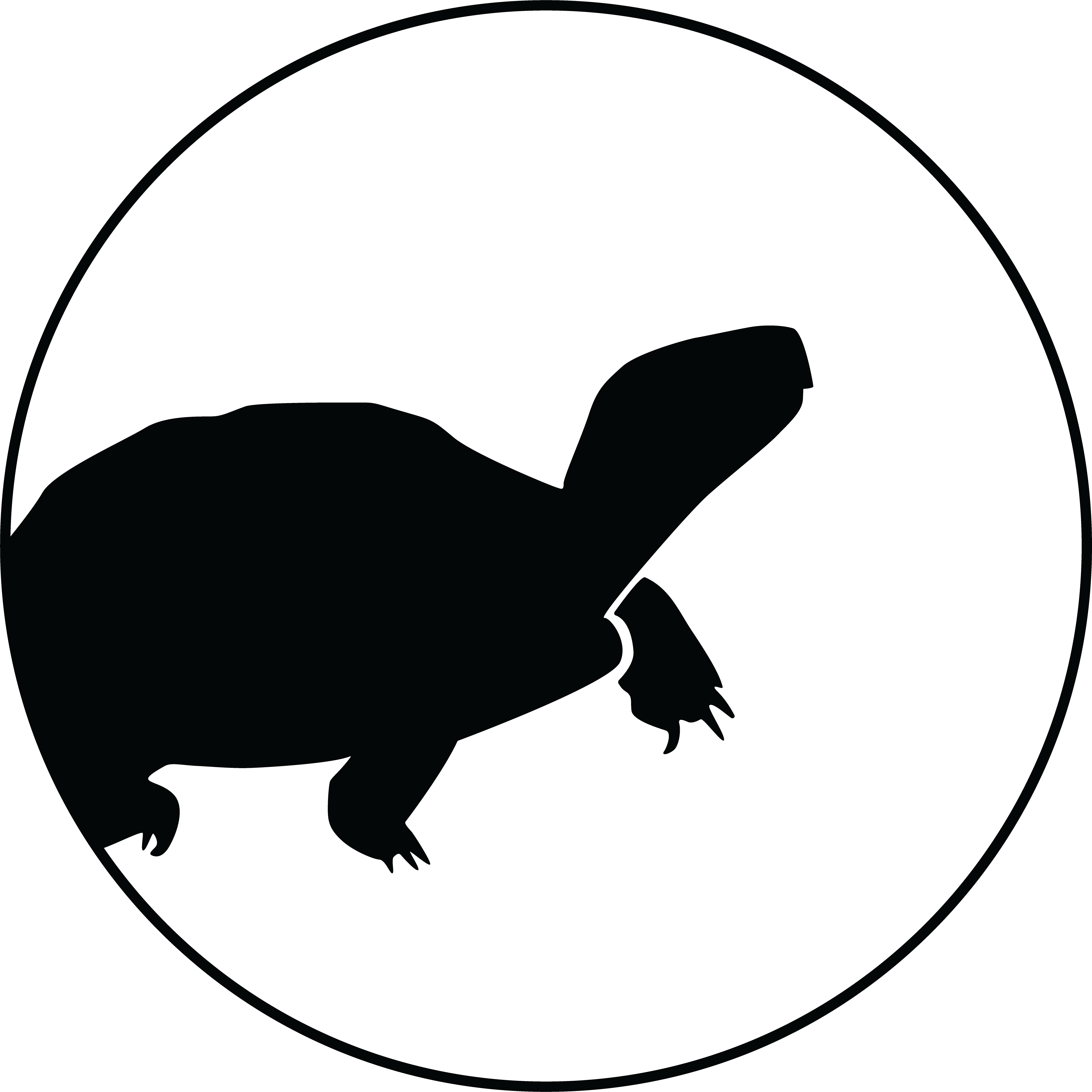 Rosalinda Palomo-ramos And Gamaliel Castañeda Gaytán - Tortoise (4281x4282)