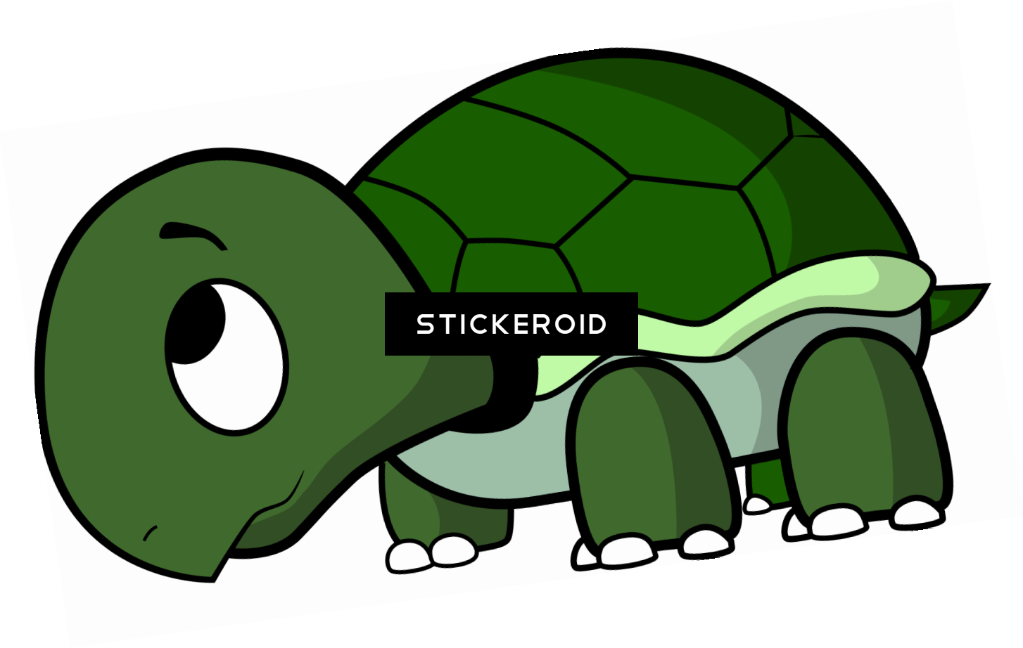 Cute Turtle - Transparent Background Tortoise Clipart (1454x922)