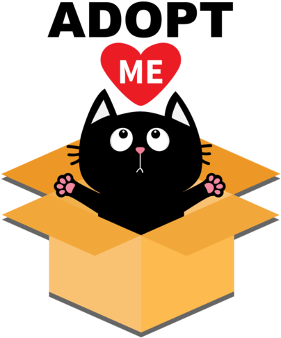 How Where Kittyland Adoptimagenbgpng - Adopt A Cat Png (500x500)