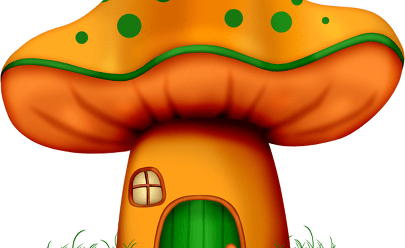 Pin By Melodie Marye On Illustrations Misc Flora Mushroom - Dibujos De Setas Y Duendes (800x491)