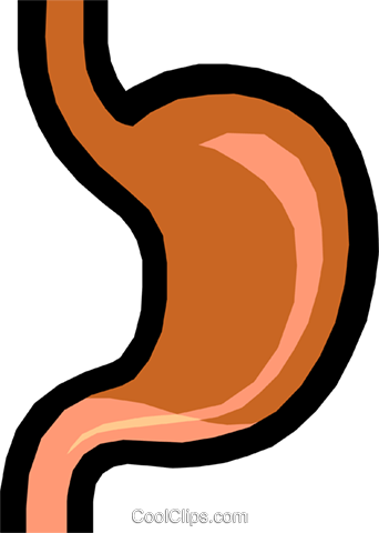 Stomach Royalty Free Vector Clip Art Illustration - Dyspepsia Gif (342x480)