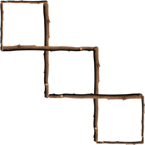 Mind Teaser Clipart Stomach - Wood (500x500)