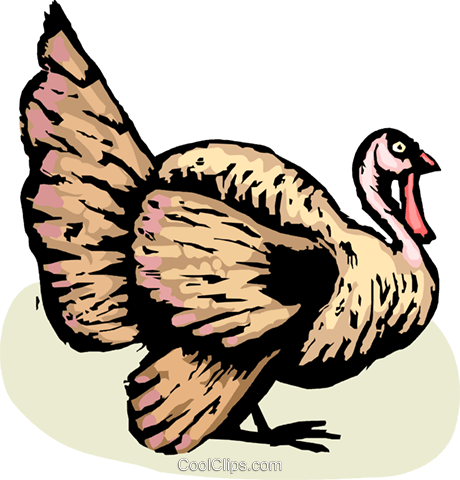Turkeys Royalty Free Vector Clip Art Illustration - Turkey (460x480)