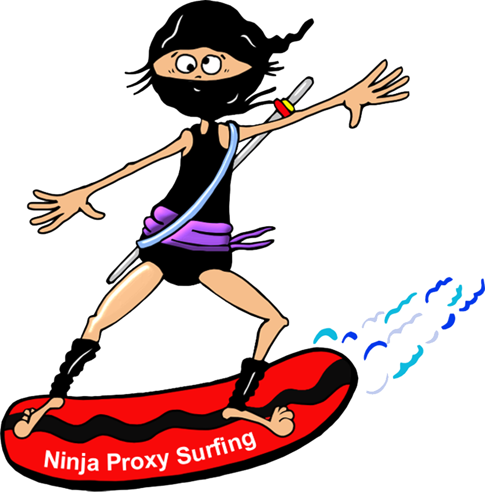 Internet Clipart Surf Internet - Proxy Ninja (1000x1018)