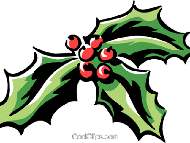 Ivy Clipart Cool - Holly Transparent Background Ivy Clipart (640x480)