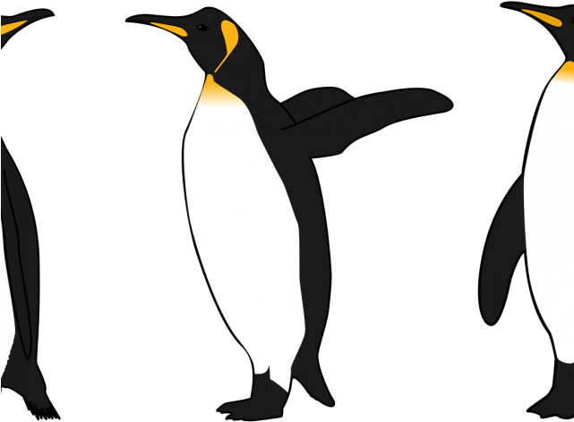 King Penguin Clipart - Arctic Penguin Clipart Png (640x480)