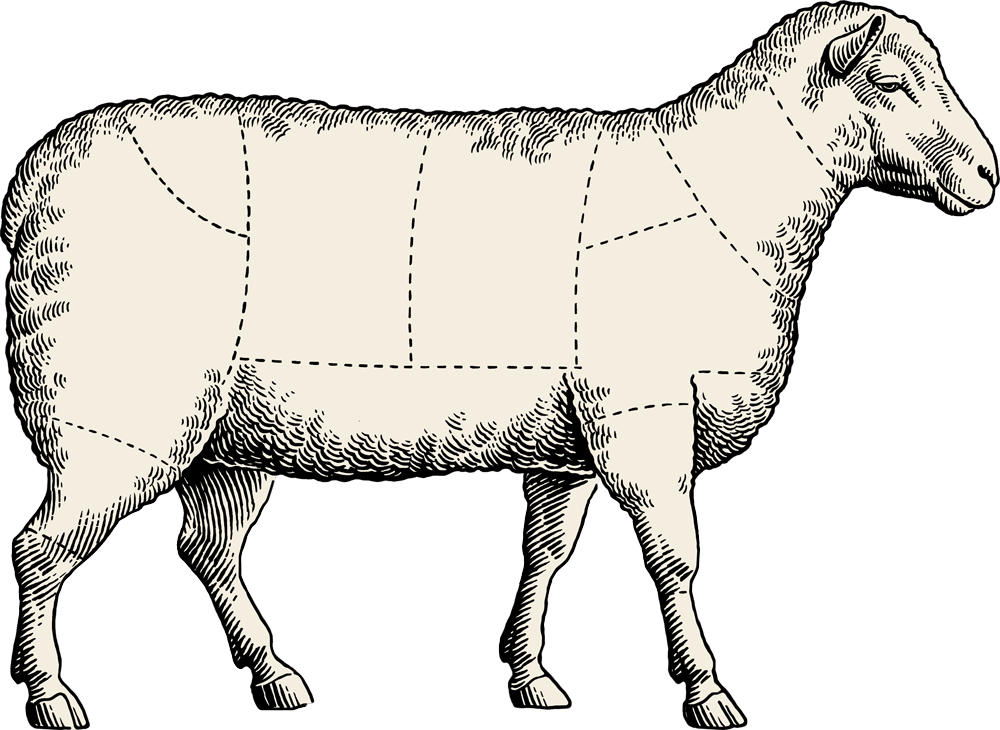 Sheep Meat Cuts Blank (1000x730)