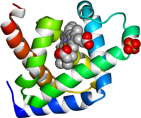 No Rotation Molmil Generated Image Of 1ymb - No Rotation Molmil Generated Image Of 1ymb (474x398)