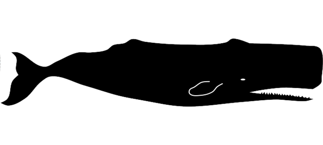 "page 3 Of The Book Of Jonah Prophecy - "page 3 Of The Book Of Jonah Prophecy (640x288)