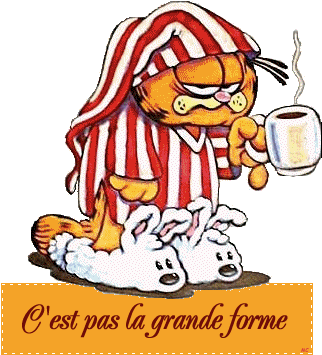 Recitaaa - Sleepy Garfield (330x365)