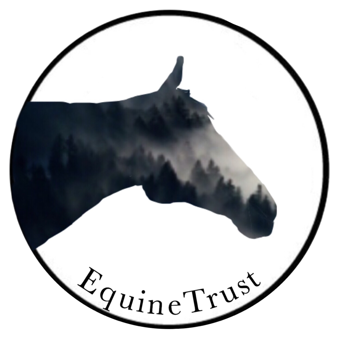 Stallion (1186x1183)