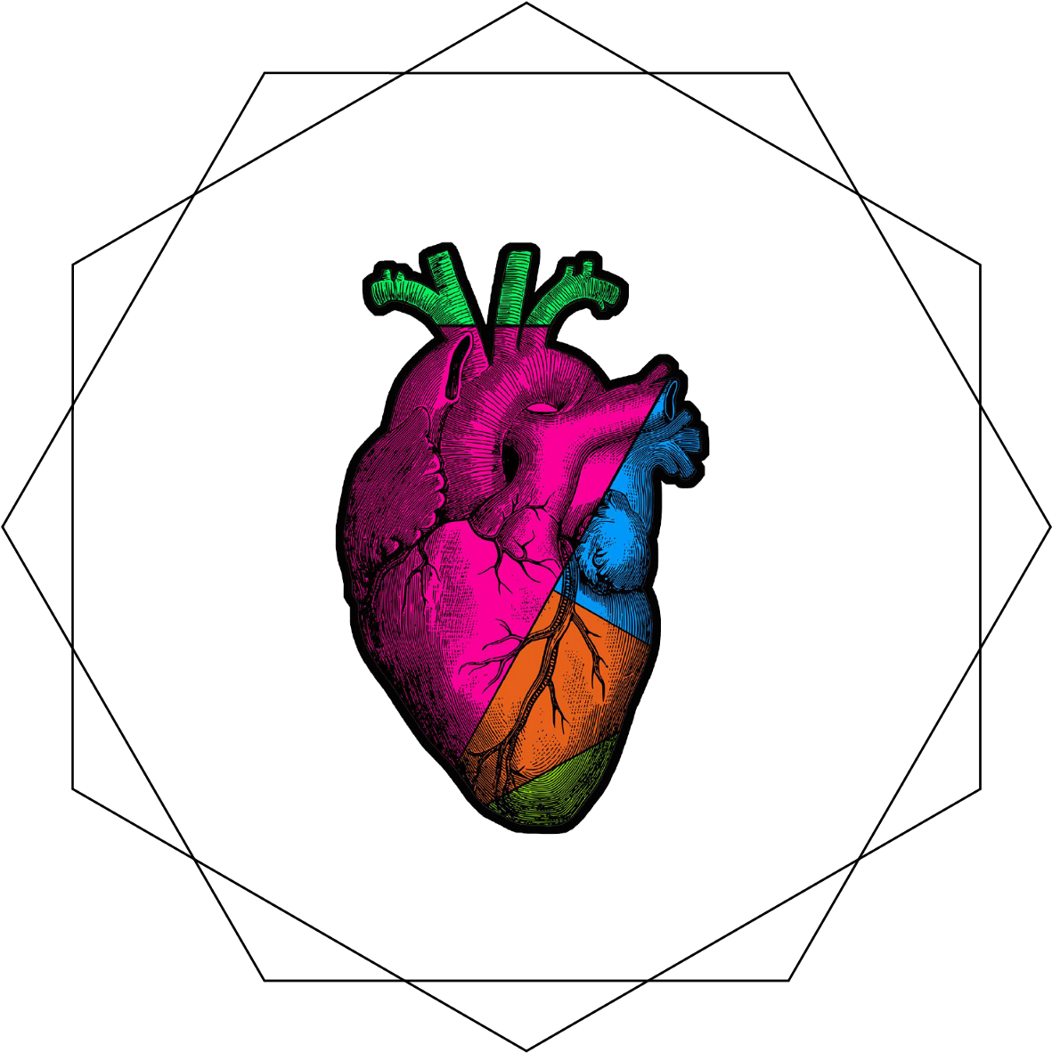 In Light Of Recent Political Events In The World, A - Illustration (1600x1600)