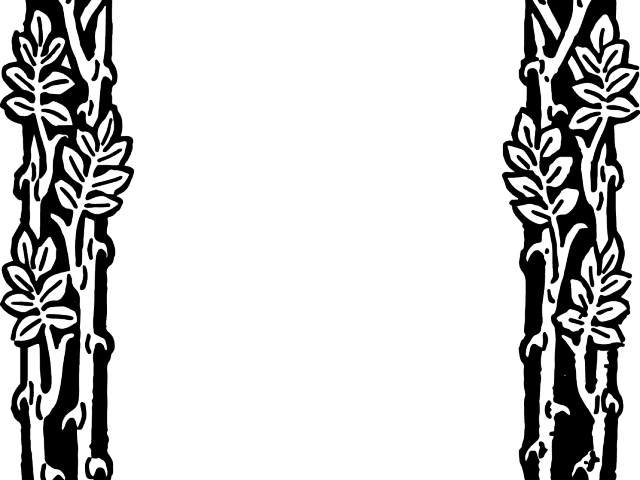 Branch Clipart Border - Clip Art (640x480)