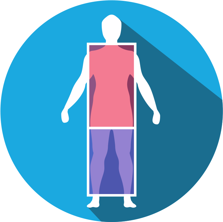 Trunk To Leg Ratio - Ville De Saint Etienne (794x793)