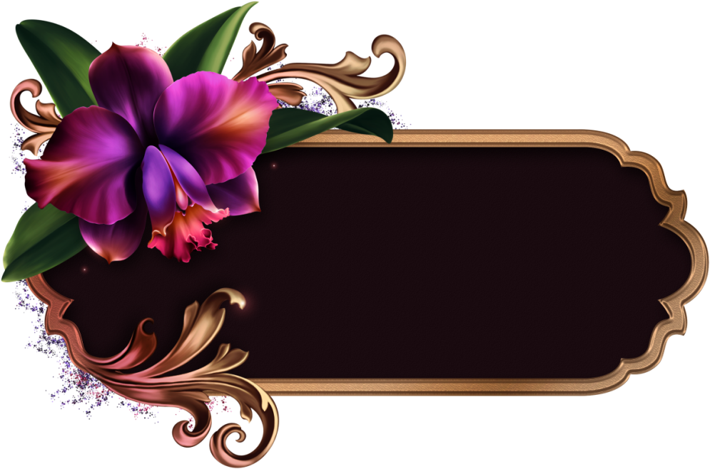 Romantic Orchids Wedding Album, Stationary Design, - Cattleya (1024x673)