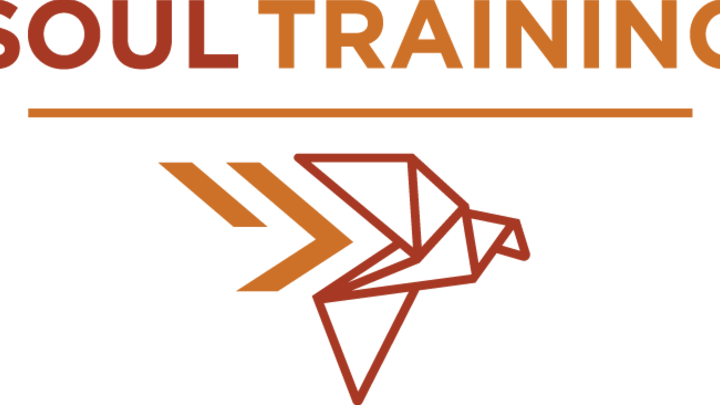 Medium Soultraining Logo - Triangle (720x405)