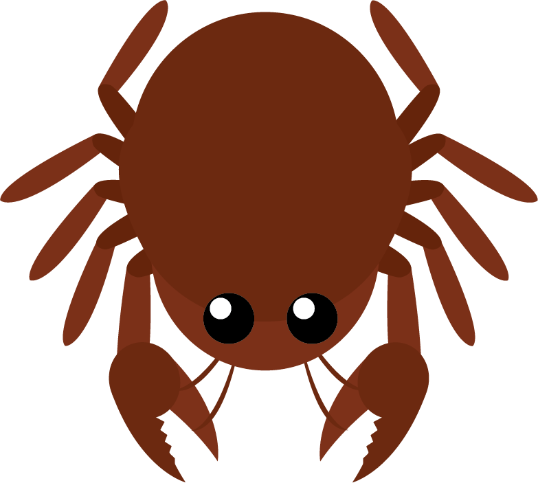 Add Some Details, Adjust The Legs - Insect (783x703)