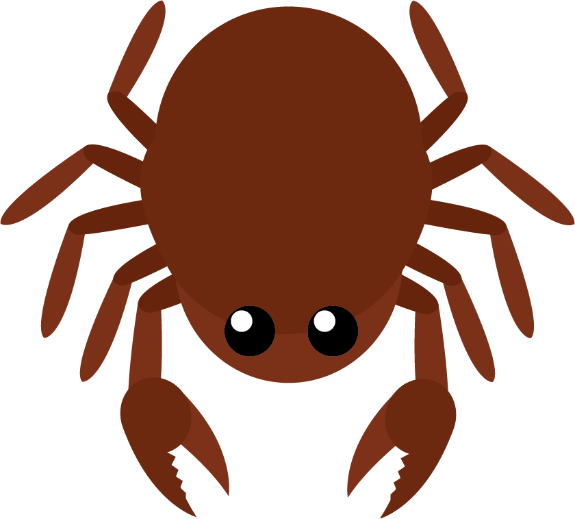 Add Some Details, Adjust The Legs - Insect (840x758)