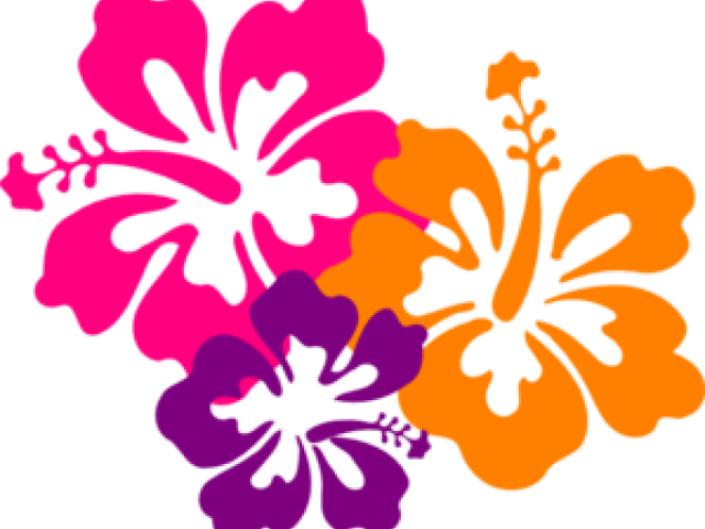 French Clipart Hawaiian - Hibiscus Clip Art (640x480)