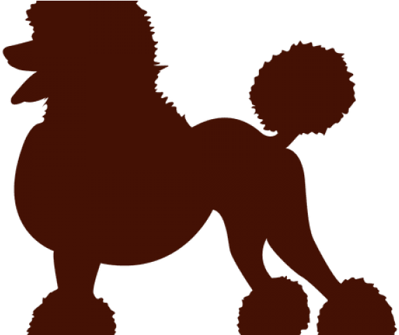 Poodle Clipart Mini Poodle - Transparent Poodle Clip Art (640x480)
