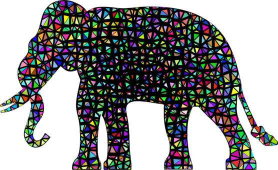 African Elephant Indian Elephant Elephants Computer - Elephant (556x340)