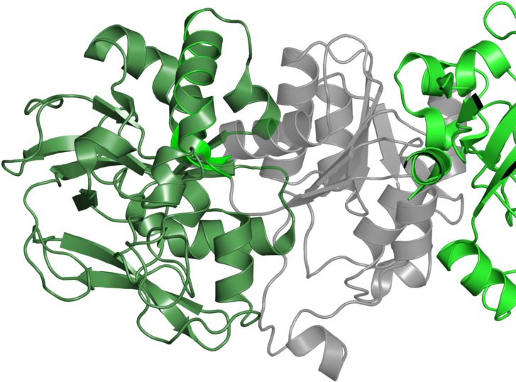 <div Class='caption-body'>1 Copy Of Cath Domain - Graphic Design (800x800)
