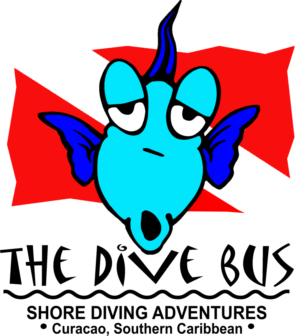 The Dive Bus Curaçao Welcome To The Dive Bus, Curacao - Dive Bus Curacao (1000x1141)