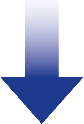 Thanks To The “stealthcode®” App, It Is Possible To - Majorelle Blue (355x522)