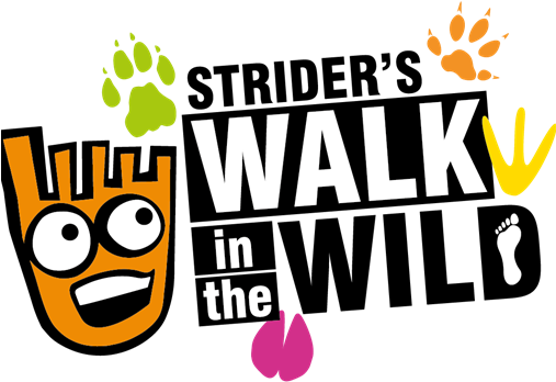 4 Oct - Walk To School Week (506x506)